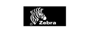 斑马/Zebra